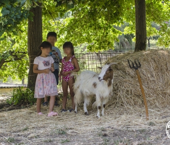 Madagaschool-Bambini-e-Animali-15