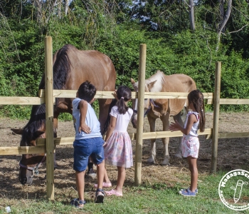 Madagaschool-Bambini-e-Animali-8