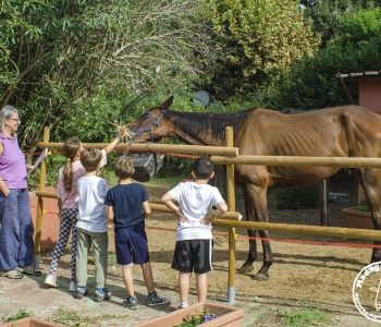 Madagaschool-bimbi-cavallo