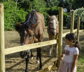 Madagaschool-cavallo-e-bimba