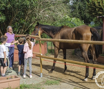 Madagaschool-lezione-open5